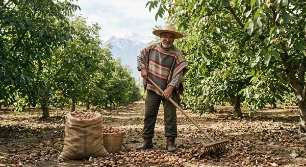 Huaso chileno en su campo